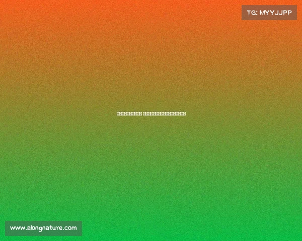 欧冠激烈冲突引发争议 多方反应彰显赛事公平与体育精神挑战