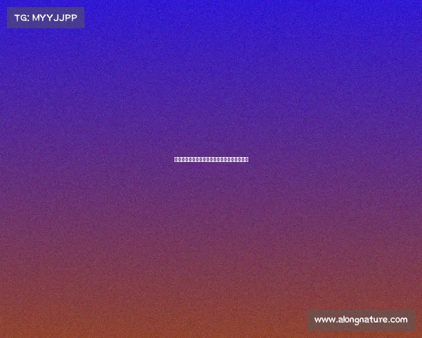 欧冠赛事广告植入策略研究与品牌传播效果分析